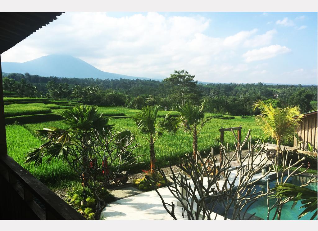Hotel Ti Amo Bali Jatiluwih Exterior foto