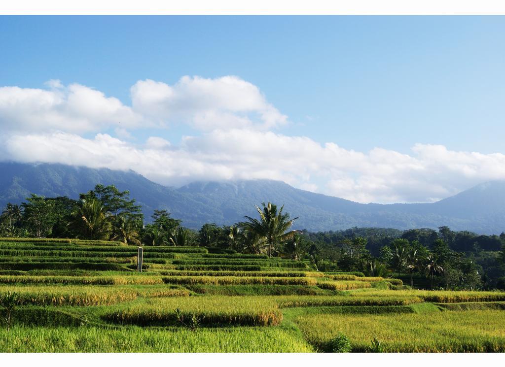 Hotel Ti Amo Bali Jatiluwih Habitación foto