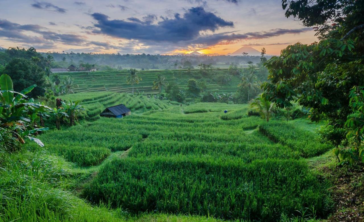 Hotel Ti Amo Bali Jatiluwih Exterior foto