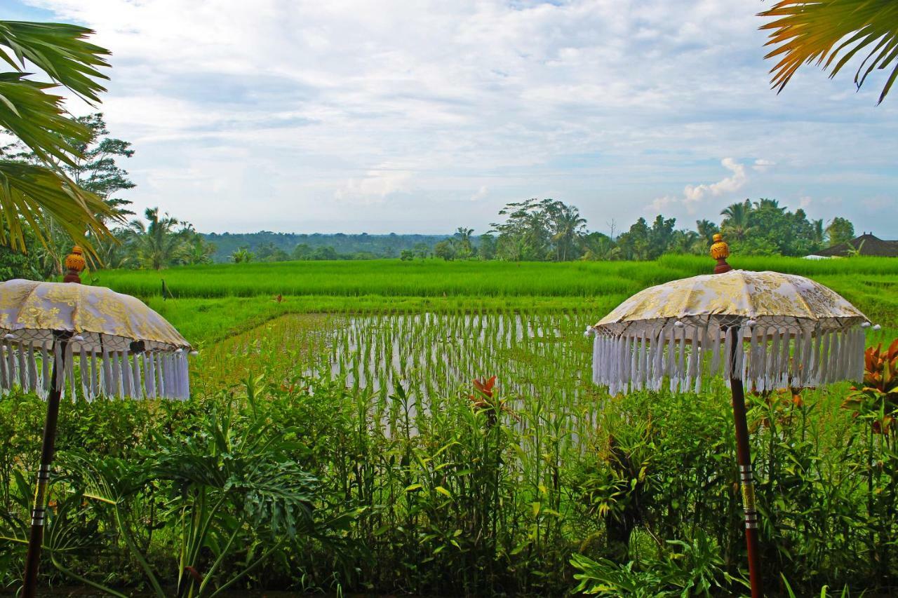 Hotel Ti Amo Bali Jatiluwih Exterior foto